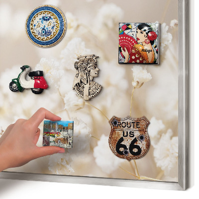 Magneetbord voor souvenir magneten met zilveren lijst Beige bloemen