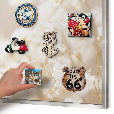 Magneetbord voor souvenir magneten met zilveren lijst Beige bloemen