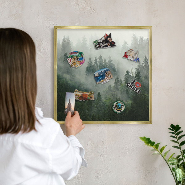 Magnetisch bord voor reismagneten met gouden lijst Bosmagie