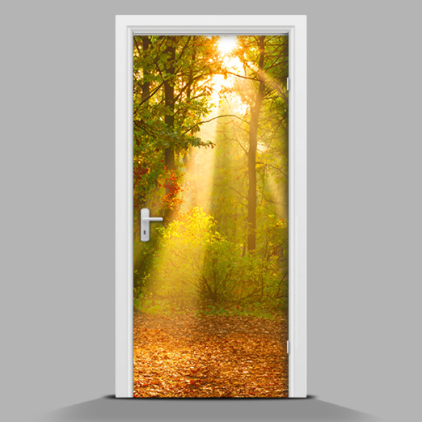 Zelfklevende deur sticker Prachtig bos in de ochtend