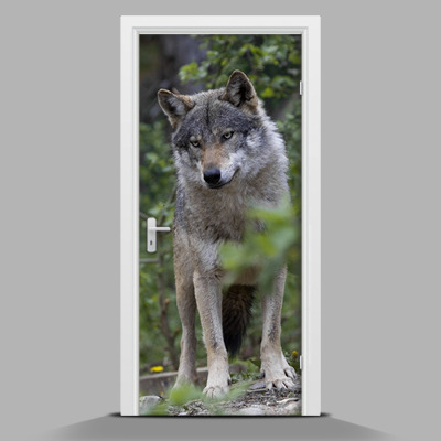 Zelfklevende deur sticker De statige wolf