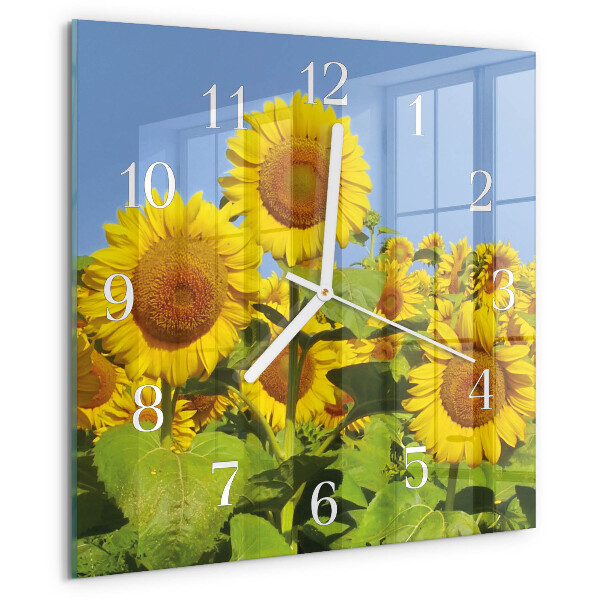Vierkante glazen klok Zonnebloemen