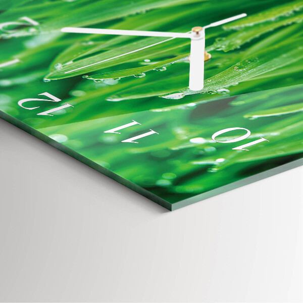 Vierkante glazen klok Groen gras