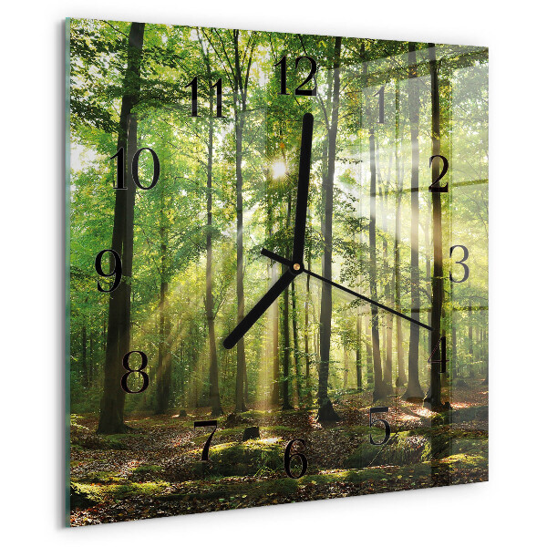Vierkante glazen wandklok Bosnatuur