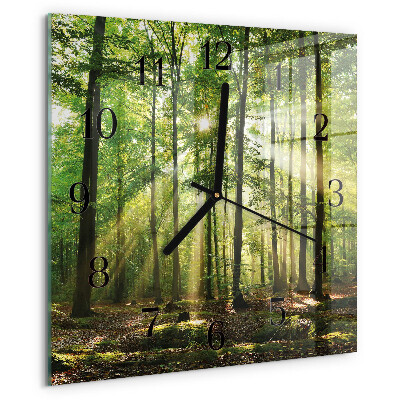 Vierkante glazen wandklok Bosnatuur