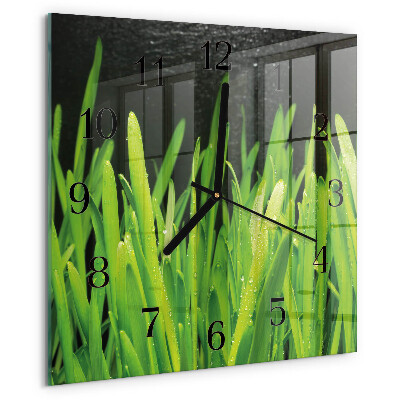 Vierkante glazen wandklok Gras