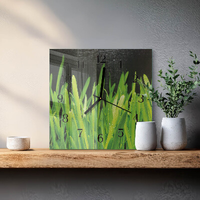 Vierkante glazen wandklok Gras