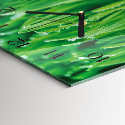 Vierkante glazen wandklok Groen gras