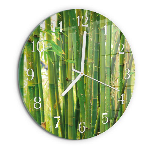 Ronde glazen klok Bamboeplant