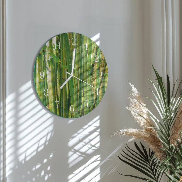 Ronde glazen klok Bamboeplant
