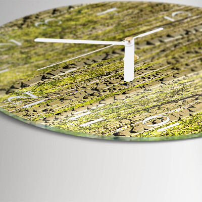 Ronde glazen klok Berkenbos