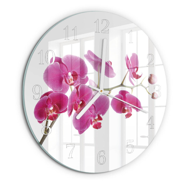 Orchidee