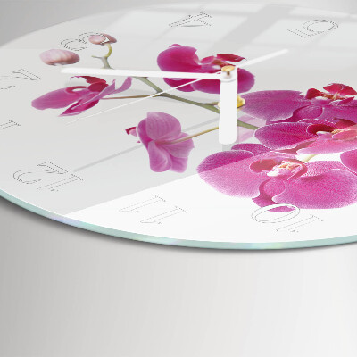 Ronde glazen klok Orchidee