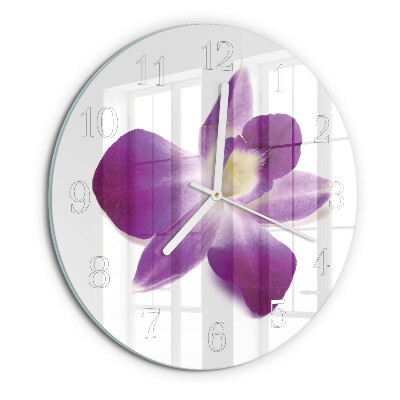 Ronde glazen klok Orchideebloem