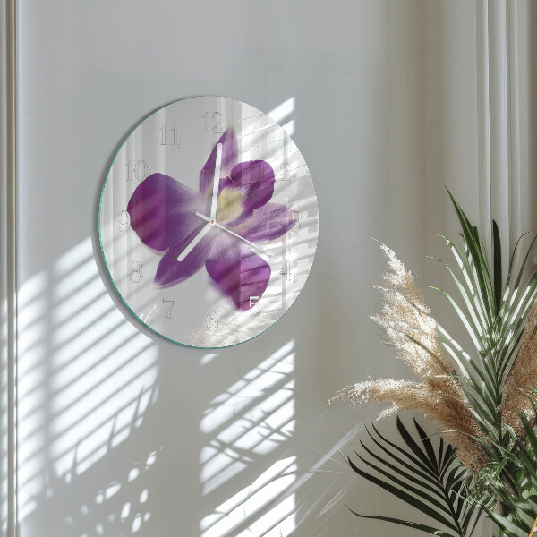 Ronde glazen klok Orchideebloem