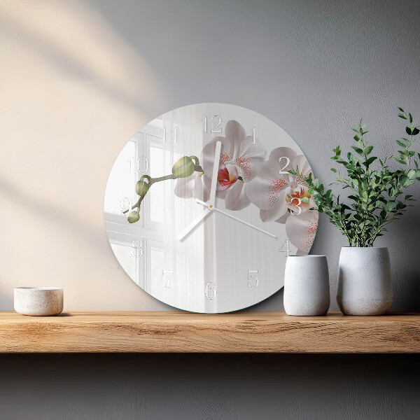 Ronde glazen klok Orchidee