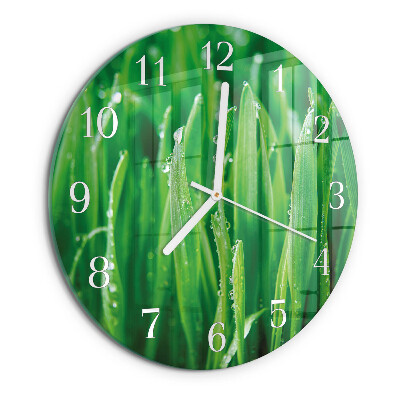 Ronde glazen klok Groen gras
