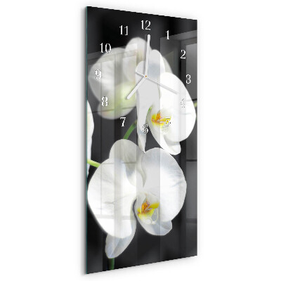 Glazen klok rechthoekige Orchidee