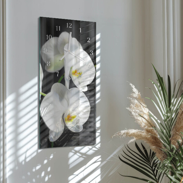 Glazen klok rechthoekige Orchidee