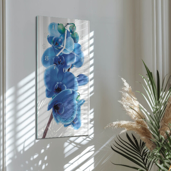 Glazen klok rechthoekige Orchidee