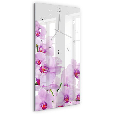 Glazen klok rechthoekige Orchideeën