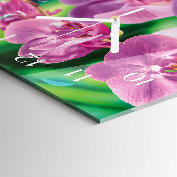 Glazen klok rechthoekige Orchideeën