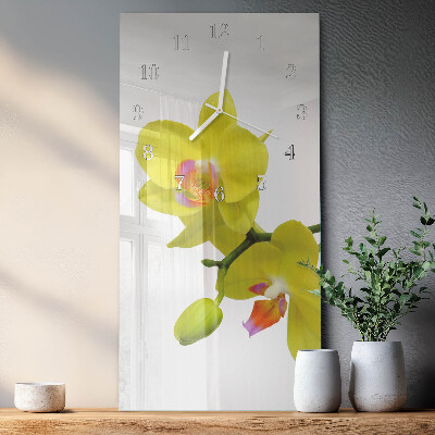 Glazen klok rechthoekige Orchidee