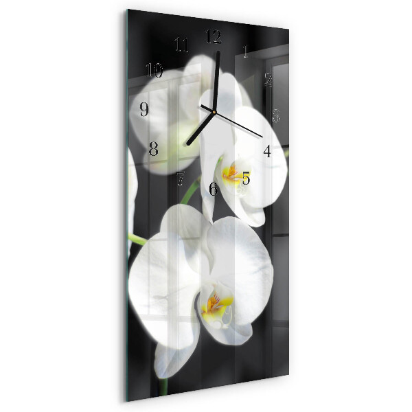 Glazen klok rechthoekige Orchidee