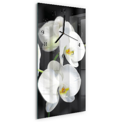 Glazen klok rechthoekige Orchidee