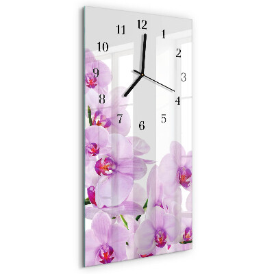 Glazen klok rechthoekige Orchideeën