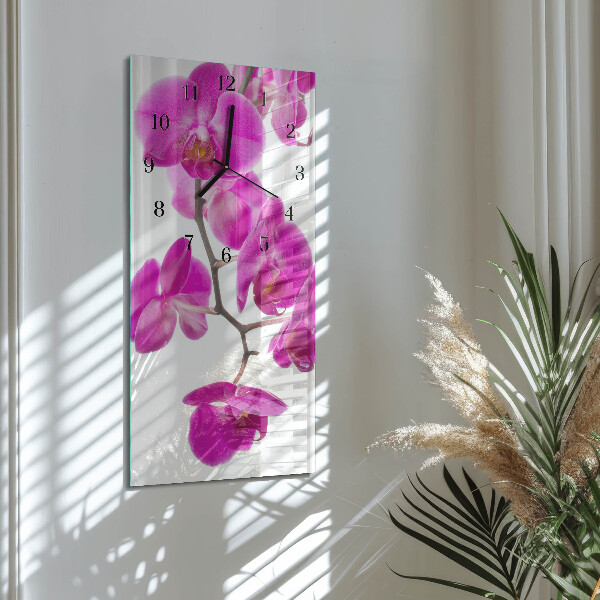 Glazen klok rechthoekige Orchideeën