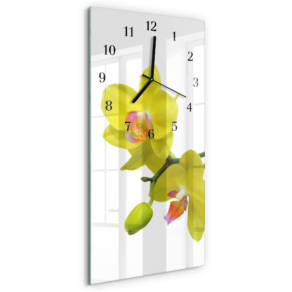 Glazen klok rechthoekige Orchidee