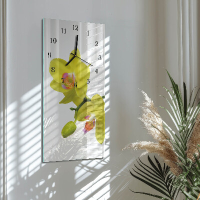 Glazen klok rechthoekige Orchidee
