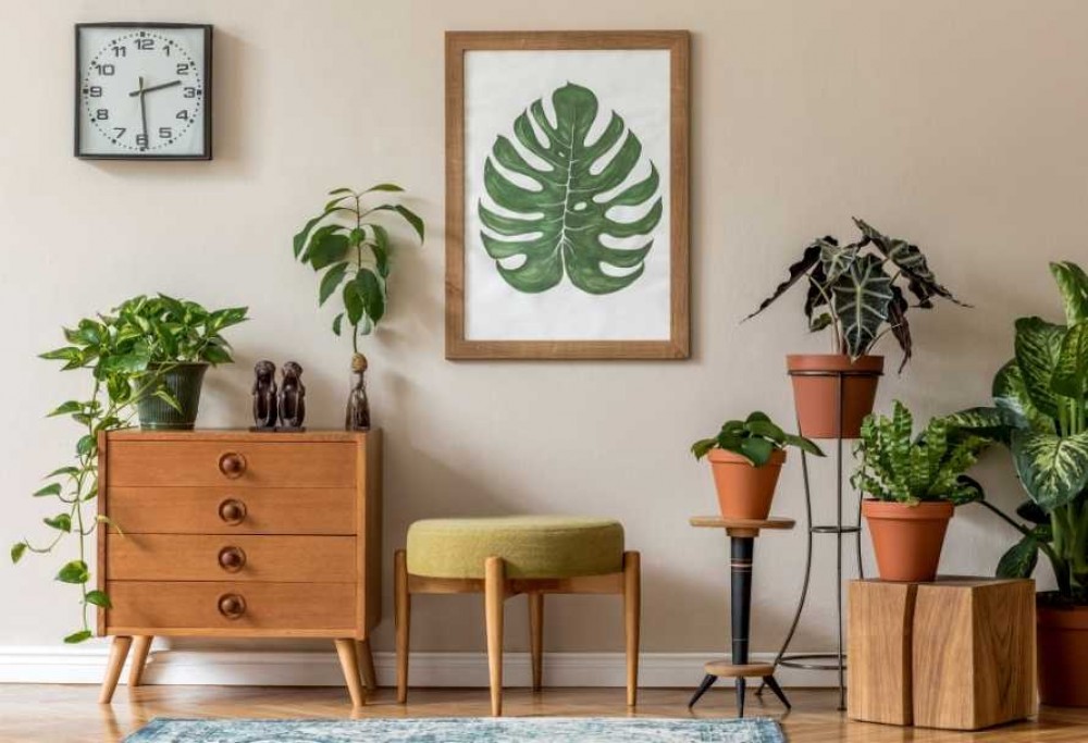 beste luchtzuiverende planten